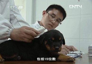 IMG_7568.GIF