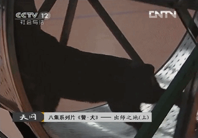 IMG_7571.GIF