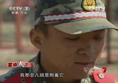 IMG_7592.GIF