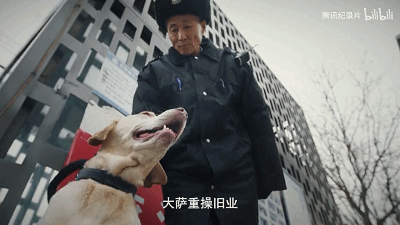 IMG_7627.GIF