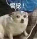 12A32CB6-99C1-4F3B-A1B4-889ACC9F7C65.jpeg