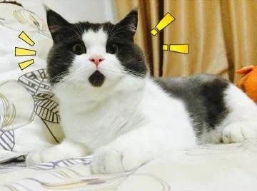 E057A98E-F72A-46AD-926B-0AAFA0EE58AE.jpeg
