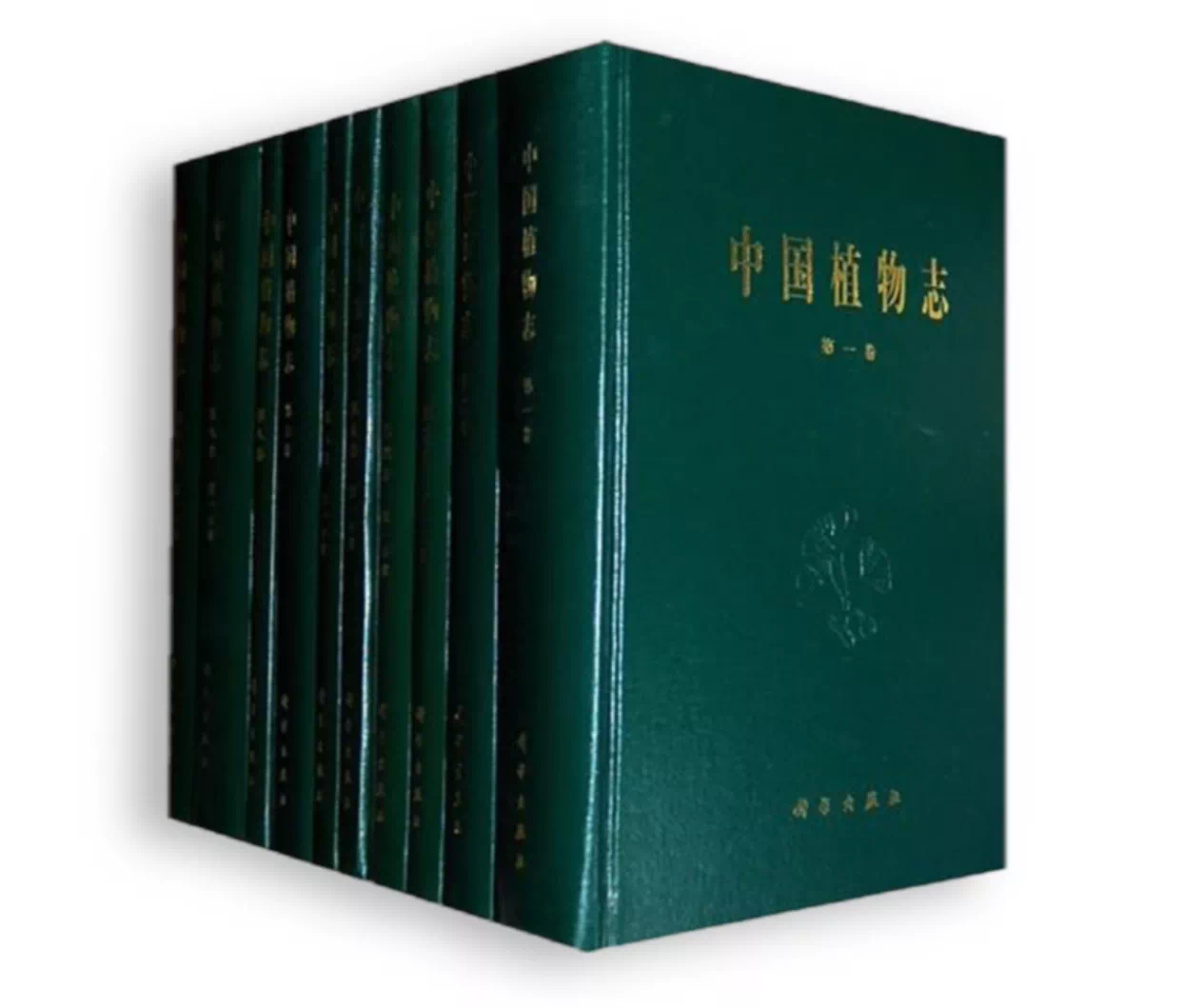 IMG_1109.PNG