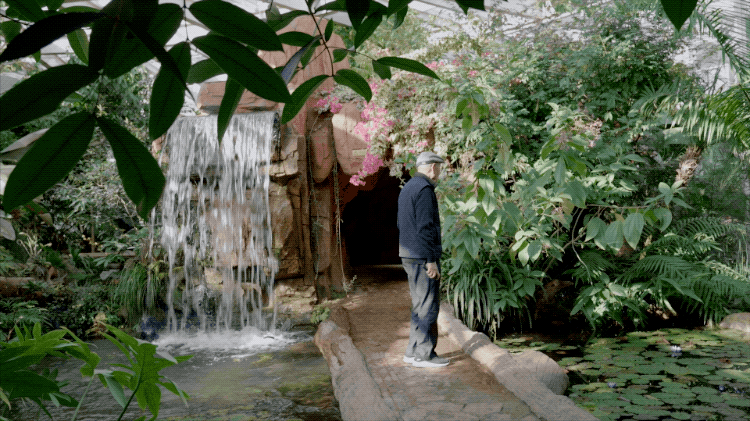 IMG_1124.GIF