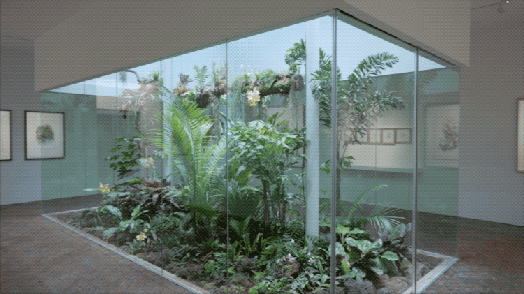 IMG_1128.GIF