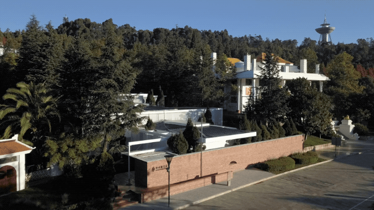 IMG_1126.GIF