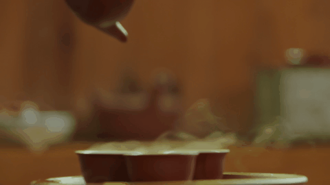 IMG_1156.GIF