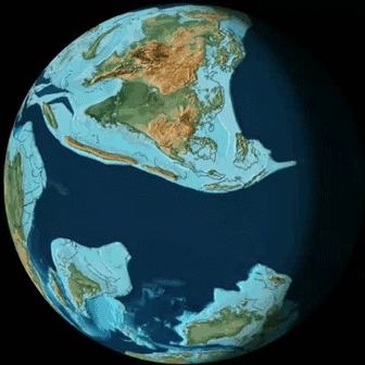 11.gif 11.gif