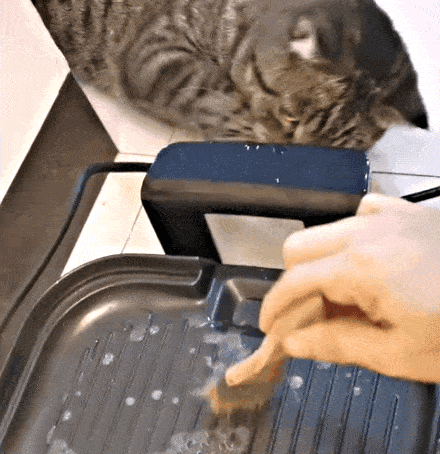 34.gif 34.gif