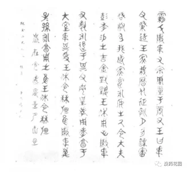 IMG_3173.PNG