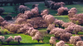 IMG_3220.GIF