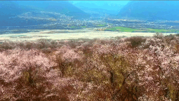 IMG_3219.GIF