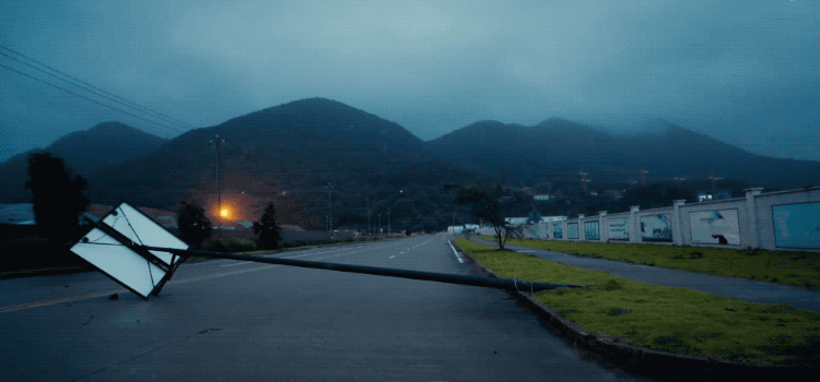 IMG_3410.GIF