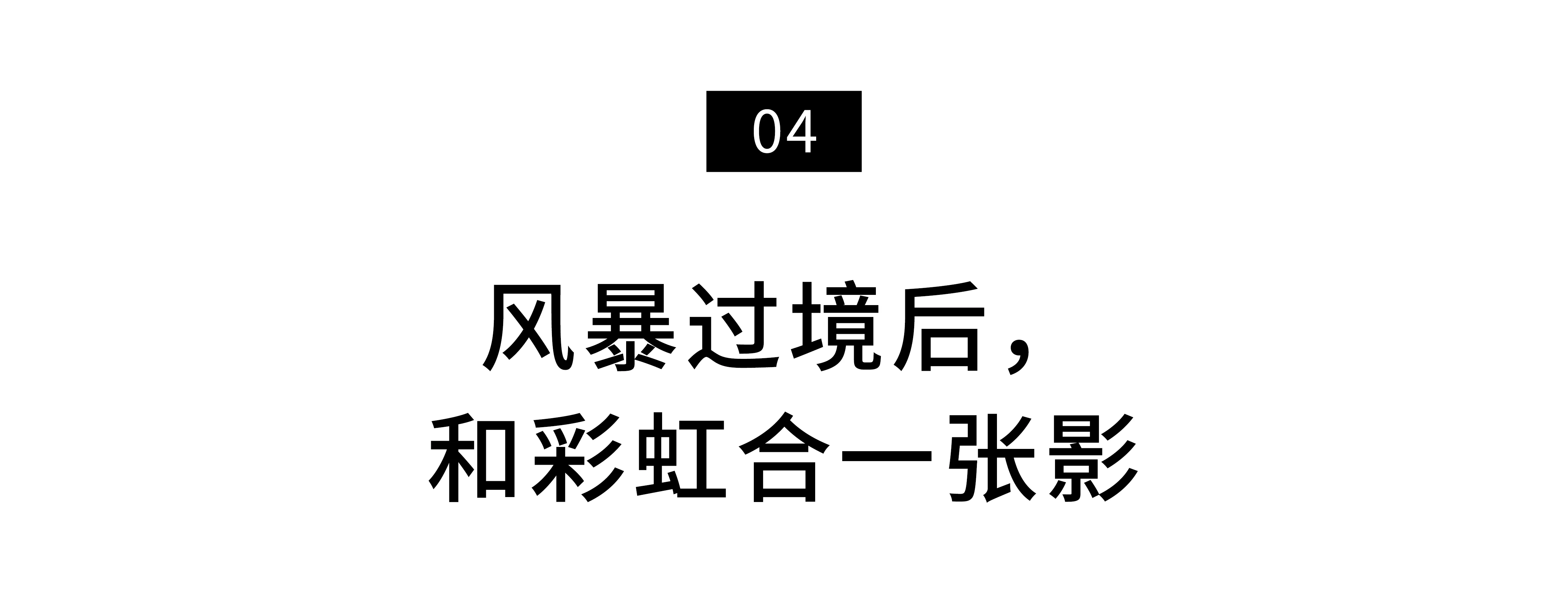 IMG_3429.PNG