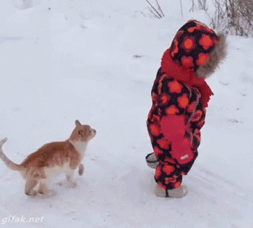35.gif 35.gif