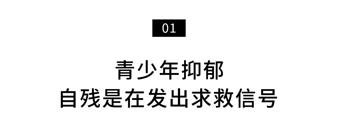 IMG_3608.PNG