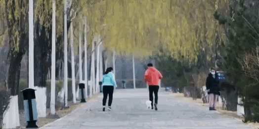 IMG_3627.GIF