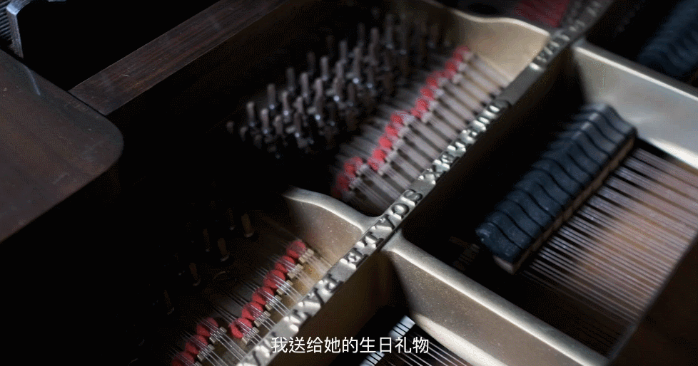 IMG_4330.GIF