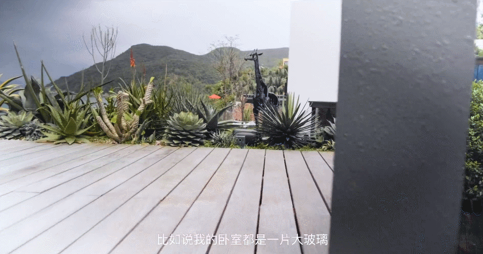 IMG_4337.GIF