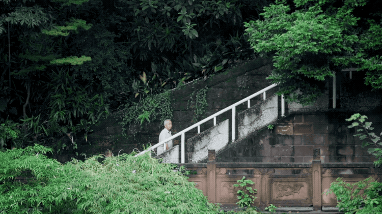 IMG_6657.GIF