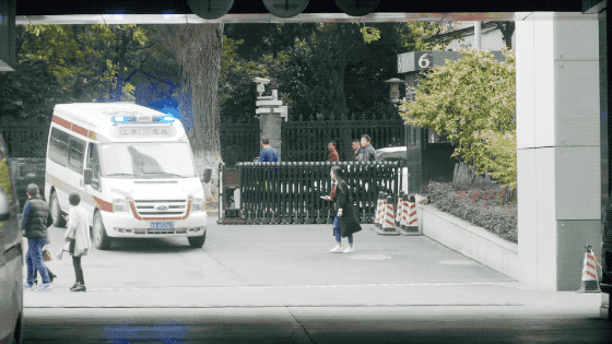 IMG_6662.GIF