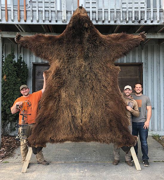 cammack-bear-hide.jpg