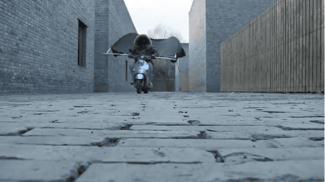 IMG_8882.GIF