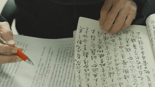 IMG_9411.GIF