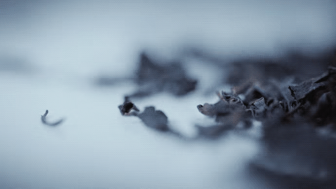 IMG_9540.GIF