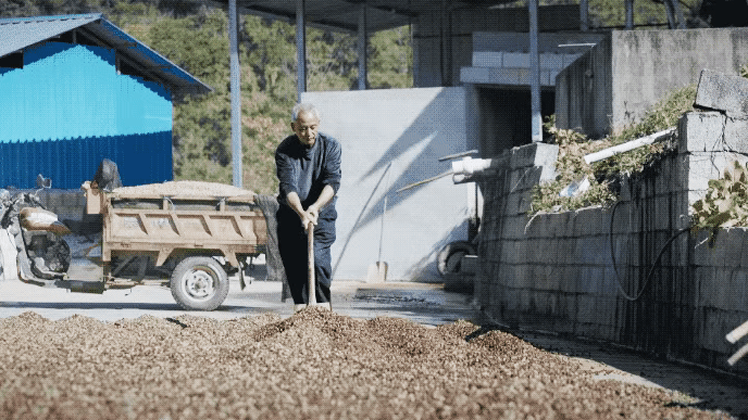 IMG_9551.GIF