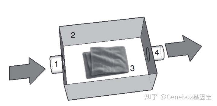 31.png