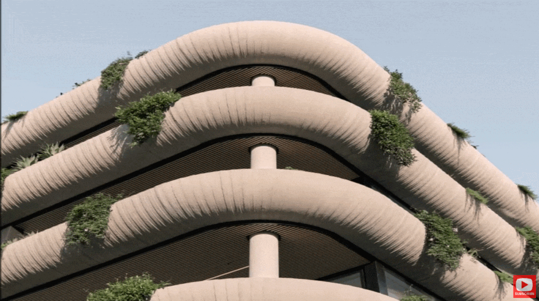 IMG_5651.GIF