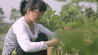 IMG_1460.GIF