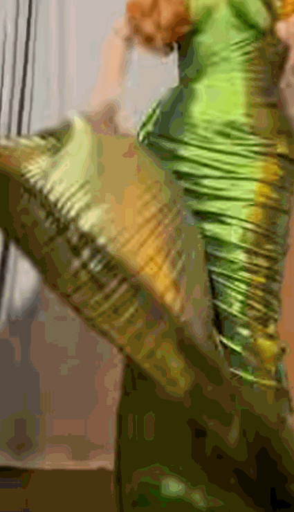 IMG_1728.GIF