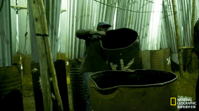 IMG_1391.GIF