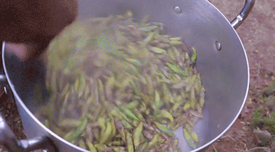 IMG_1401.GIF