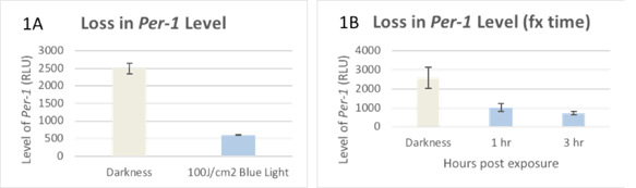 37.png 37.png