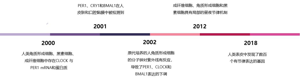 30.png 30.png