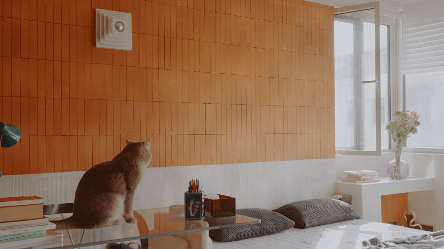 IMG_2617.GIF