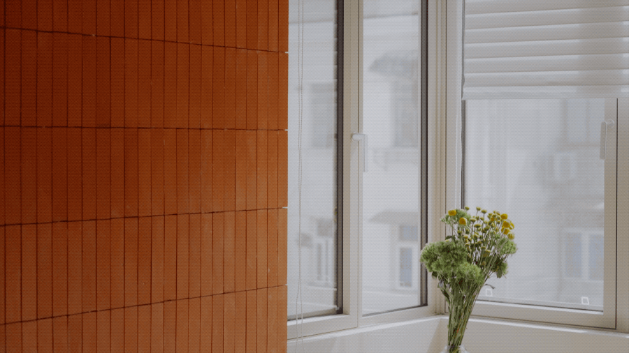 IMG_2650.GIF