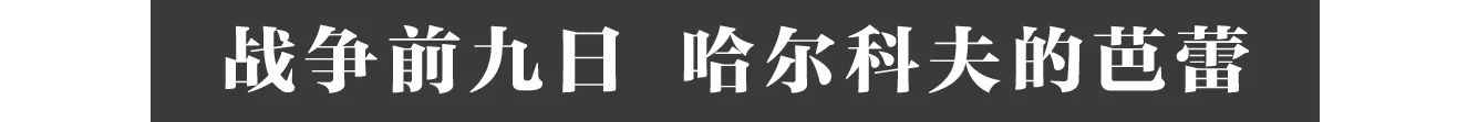 IMG_2336.PNG