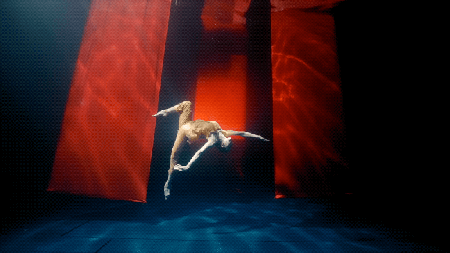 IMG_2976.GIF