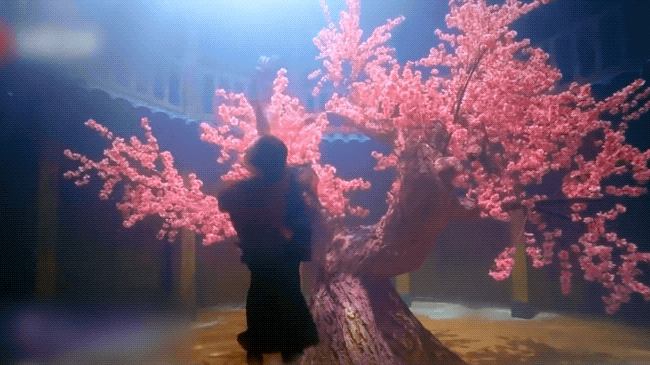 IMG_2978.GIF