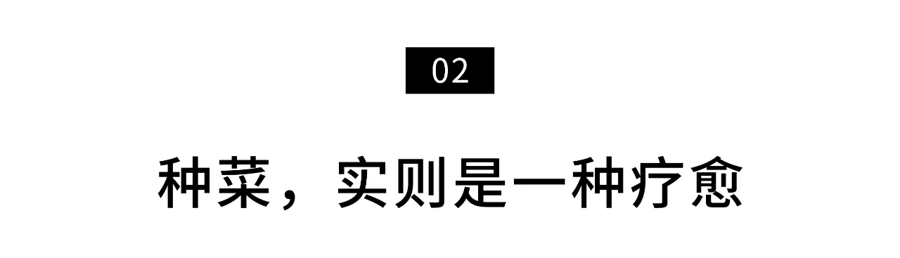 IMG_4454.PNG