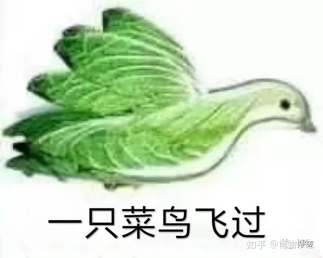 12.jpeg 12.jpeg