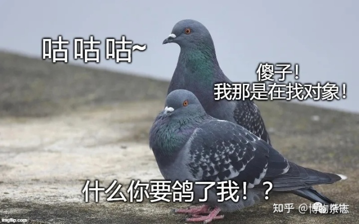 3.jpeg 3.jpeg