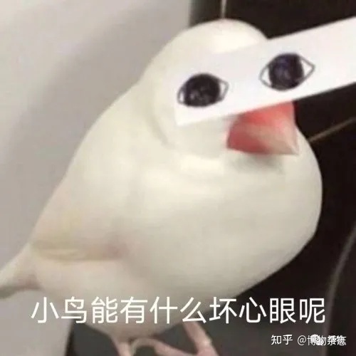 10.jpeg 10.jpeg