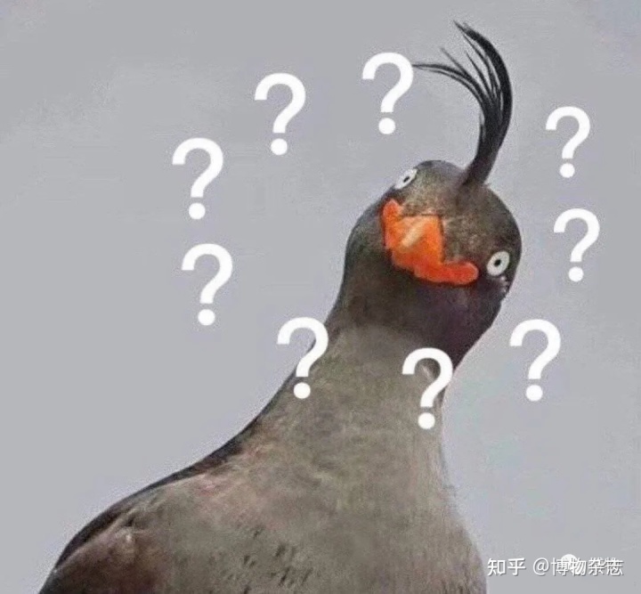 2.jpeg 2.jpeg