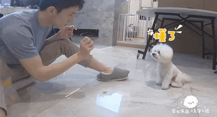 7.gif