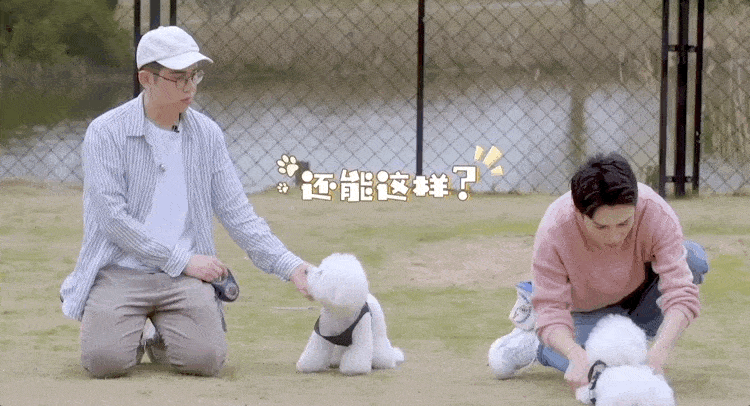 6.gif